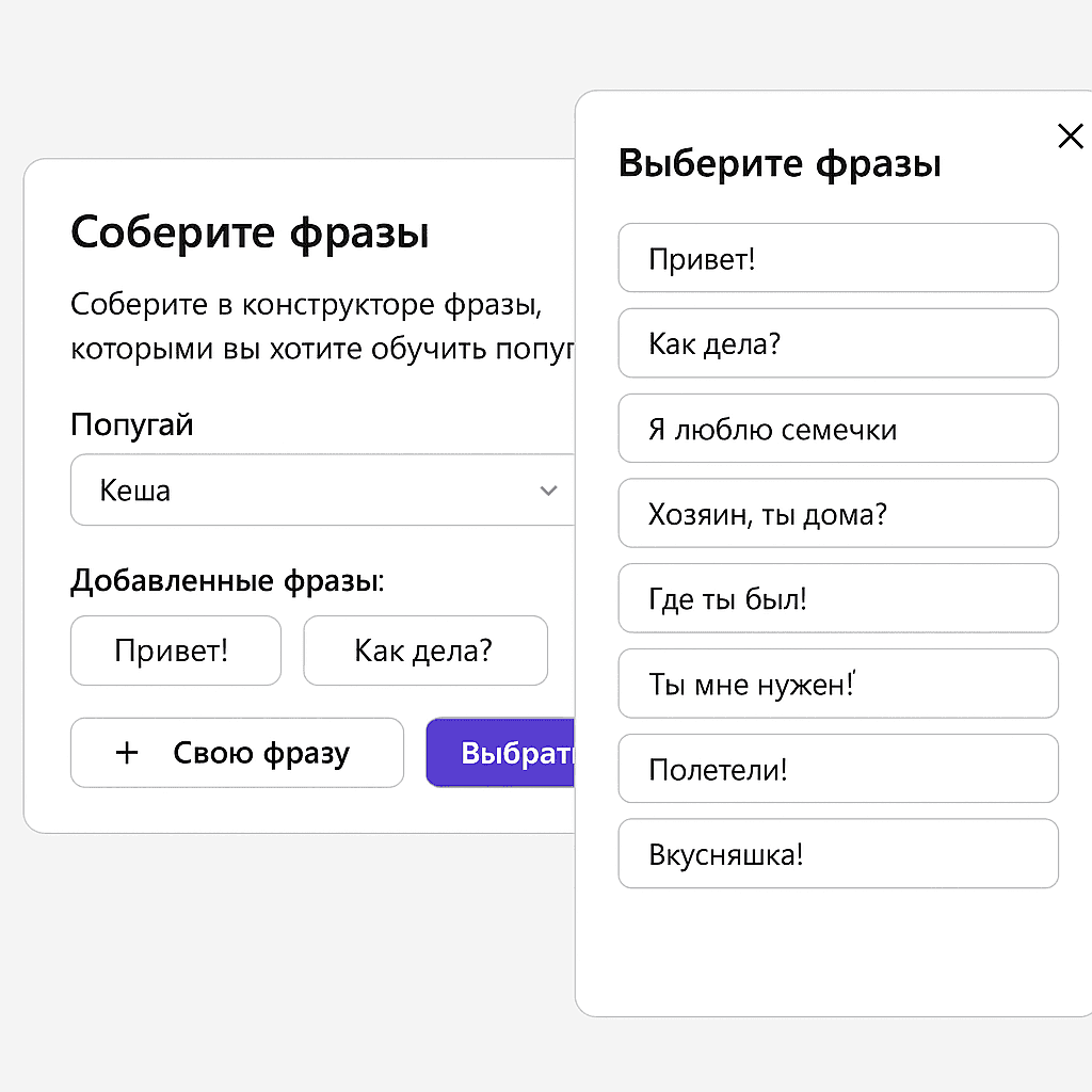 Гид по обучению попугаев